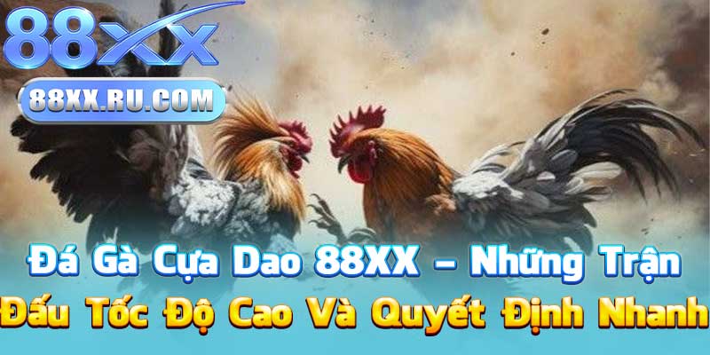 Đá Gà Cựa Dao 88XX – Những Trận Đấu Tốc Độ Cao Và Quyết Định Nhanh