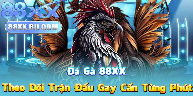 Đá Gà 88XX – Theo Dõi Trận Đấu Gay Cấn Từng Phút