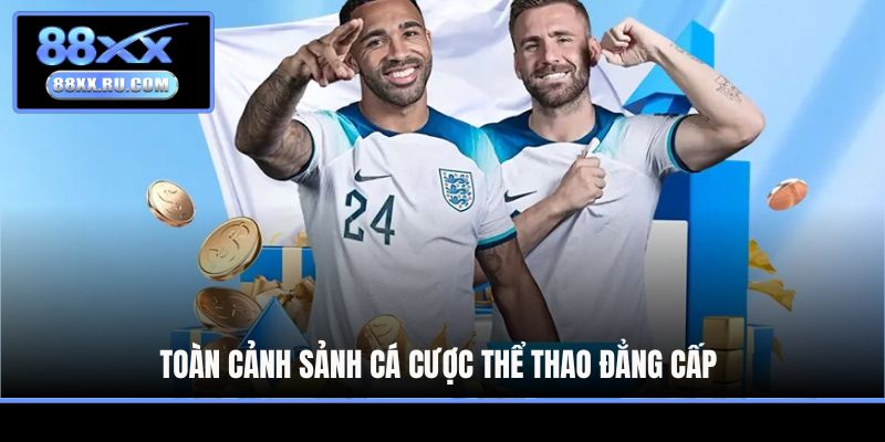 Toàn cảnh sảnh cá cược thể thao đẳng cấp