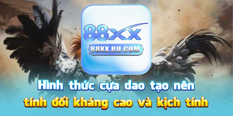 Hình thức cựa dao tạo nên tính đối kháng cao và kịch tính
