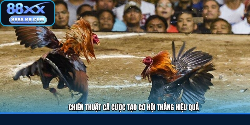 Chiến thuật cá cược tạo cơ hội thắng hiệu quả
